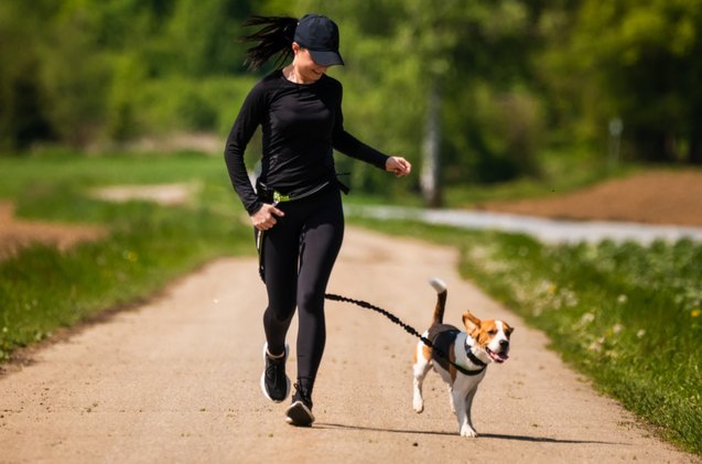 best hands free leash