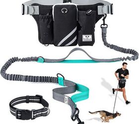 Dog Training Clicker Training Treat Pouch Reflective Shock Bungee Endure Up to 150 lbs Dual Handle Waist Hands Free Dog Leash 7in1 Jogging Dog Leash Handsfree 