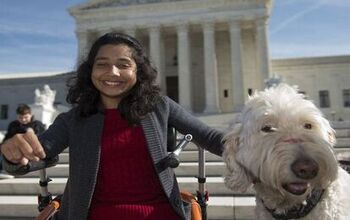 Washington Supreme Court Rules in Favor Of Girl and Her Service Dog