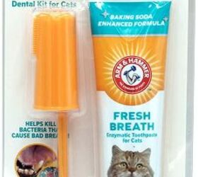 best feline toothpaste