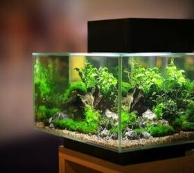 use a leftover decorative gift bag as the background for your fish tanks! A  large bag will fit a ten gal…
