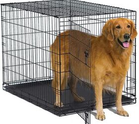 New world folding outlet metal dog crate