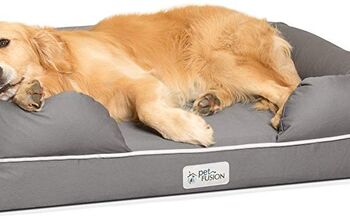 Best Dog Beds