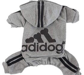 Best Dog Clothes