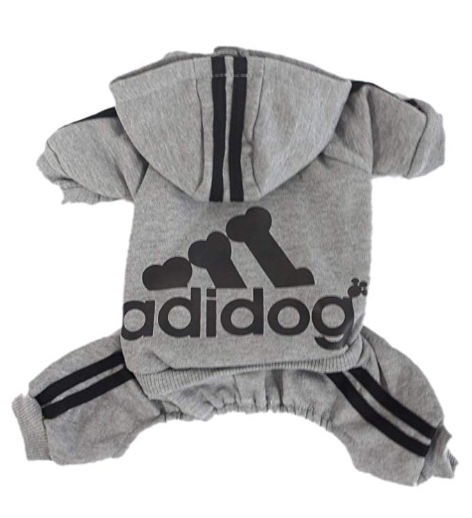 Best Dog Clothes PetGuide best-dog-clothes-petguide