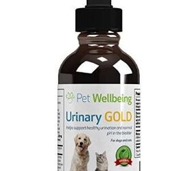 Best Cat Health Products