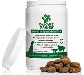 Best Dog Health Products