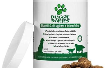 Best Dog Health Products