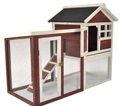 Perfect Rabbit House Best Rabbit Houses | PetGuide
