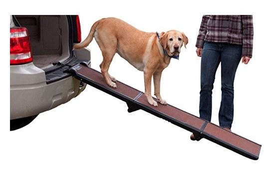 best dog ramp