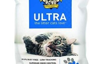 Best Cat Litter
