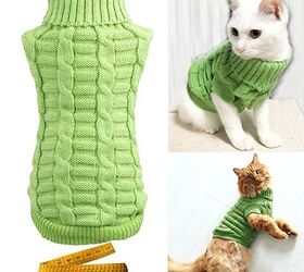 Best Cat Clothes