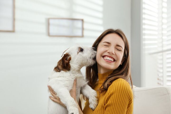 4 in 5 pet owners enjoy better mental health from owning a pet, New Africa Shutterstock