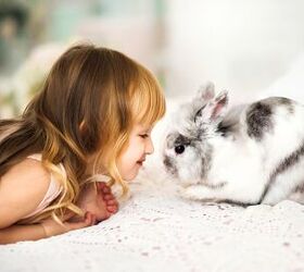 10 Best Rabbits for Kids | PetGuide