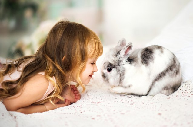 10 Best Rabbits for Kids | PetGuide