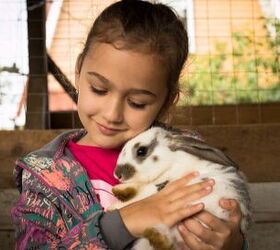 10 most affectionate rabbit breeds, Elena Masiutkina Shutterstock