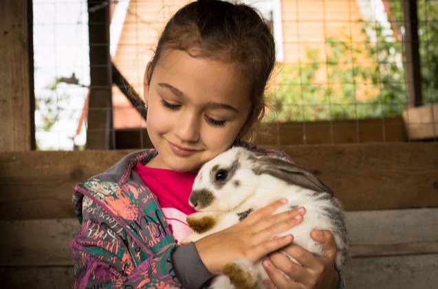 10 most affectionate rabbit breeds, Elena Masiutkina Shutterstock