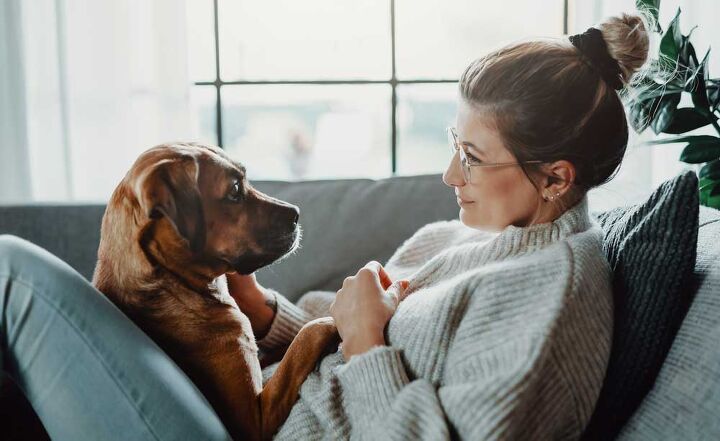 the five signs of pet health