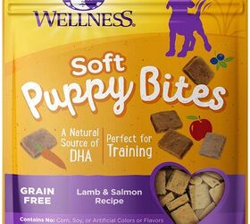 10 Best Puppy Potty Training Supplies | PetGuide