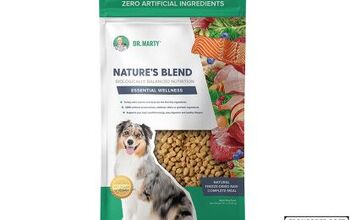 Why Dr. Marty Nature's Blend Might Be Right For Your Dog