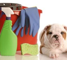 best pet friendly cleaning supplies, WilleeCole Photography Shutterstock