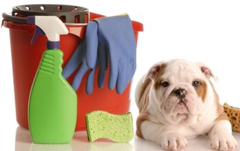 Best Pet-Friendly Cleaning Supplies