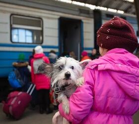 Ukrainian Refugees Met With Struggle Crossing U.S. Border With Dogs