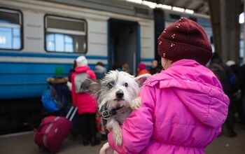 Ukrainian Refugees Met With Struggle Crossing U.S. Border With Dogs