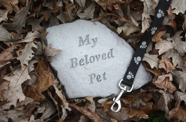 best remembrance products for grieving pet owners, cpreiser000 Shutterstock