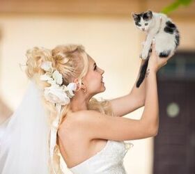 Joined in Meowtrimony: Woman Marries Her Cat to Prevent Eviction