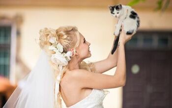 Joined in Meowtrimony: Woman Marries Her Cat to Prevent Eviction