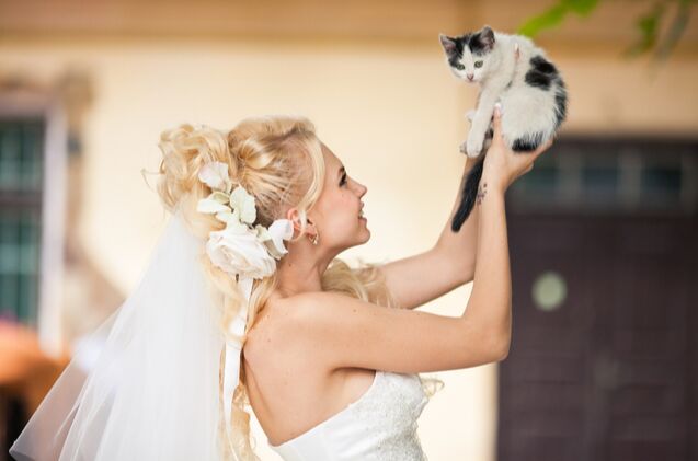 joined in meowtrimony woman marries her cat to prevent landlords from, IVASHstudio Shutterstock