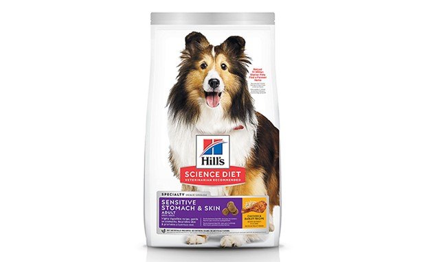 how the right food can help your dogs sensitive skin and stomach