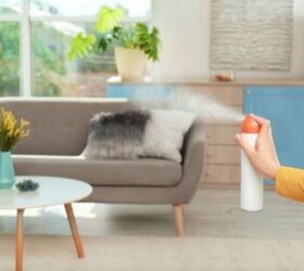 Best Air Fresheners for Pet-Friendly Households