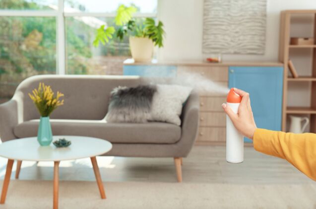 best air fresheners for pet friendly households, New Africa Shutterstock