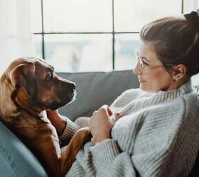 The Five Signs of Pet Health