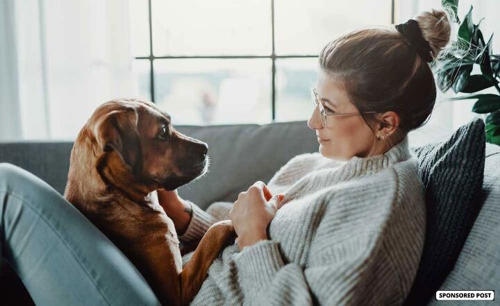 the five signs of pet health
