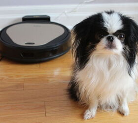Trifo Ollie AI Home Robot Vacuum and Video Review