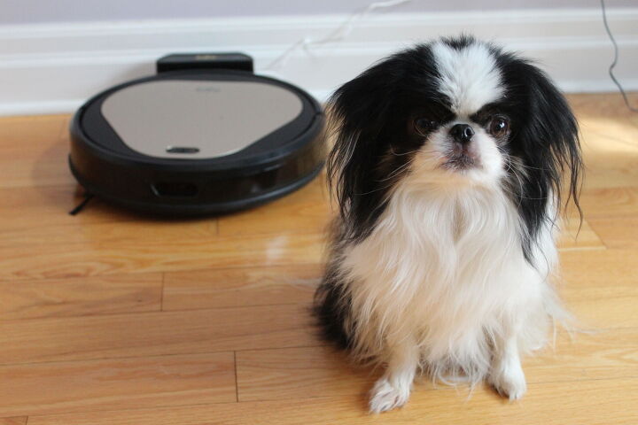 trifo ollie ai home robot vacuum and video review