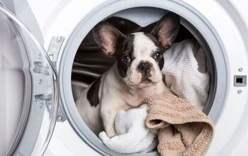 Best Laundry Detergent for Pet Hair