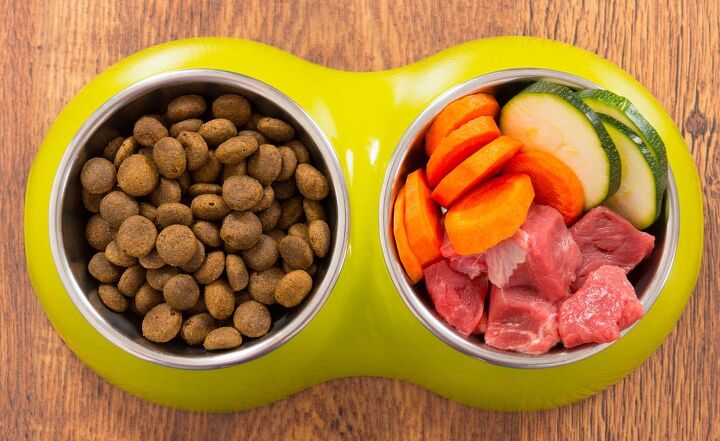 feeding your pet clean food is easy with nutro feed clean