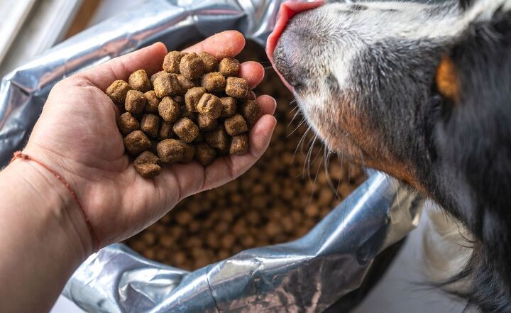 feeding your pet clean food is easy with nutro feed clean