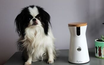 Furbo 360 Treat Tosser and Camera Review