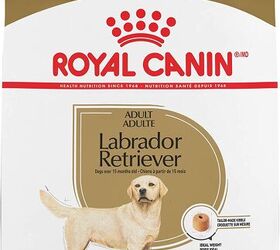 best kibble for labs