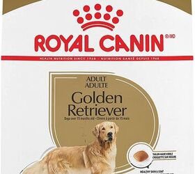 royal canin for goldendoodle puppy