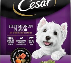 best affordable healthy dog food