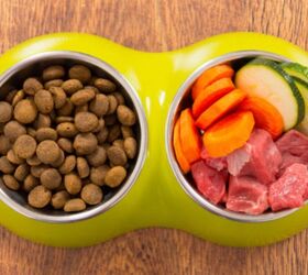 best limited ingredient dog food, Monika Wisniewska Shutterstock