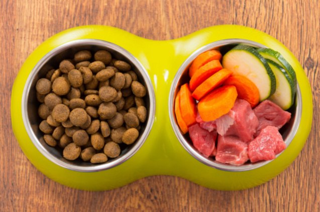 best limited ingredient dog food, Monika Wisniewska Shutterstock