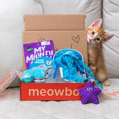 Pet Collection Box Best Pet Subscription Boxes | PetGuide
