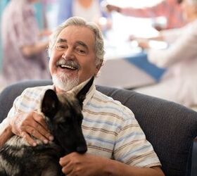 How to Train Your Pet to Be a Visiting Therapy Dog